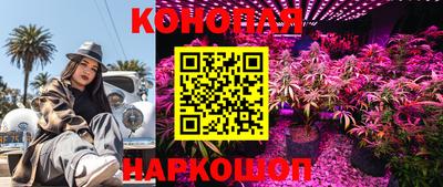 МДМА Можга