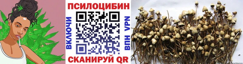 это наркотические препараты  Чусовой  Псилоцибиновые грибы Magic Shrooms 