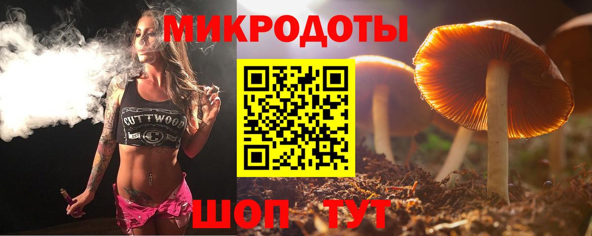 Псилоцибиновые грибы Psilocybine cubensis Чусовой
