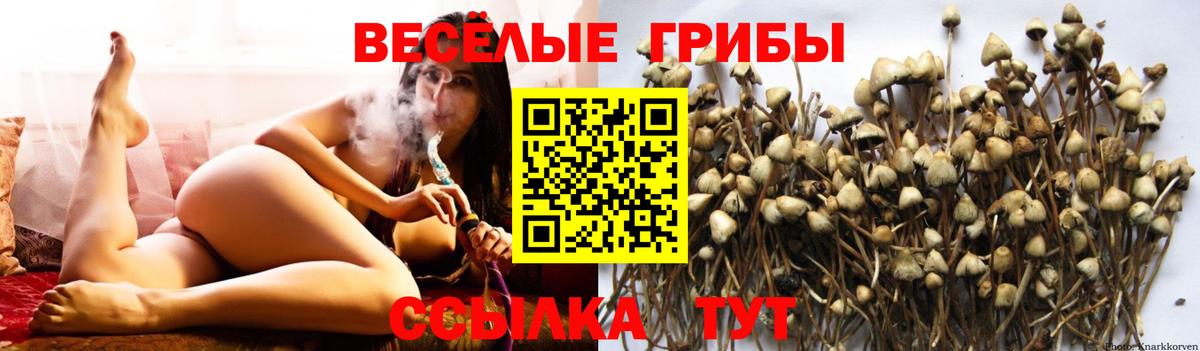 Чусовой  Псилоцибиновые грибы MAGIC MUSHROOMS  хочу наркоту  Вход с VPN 